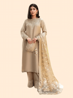Beige Georgette Zari Embroidered Kurta Set