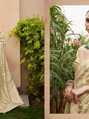 Royal Banarasi Silk Saree in 8 Colors